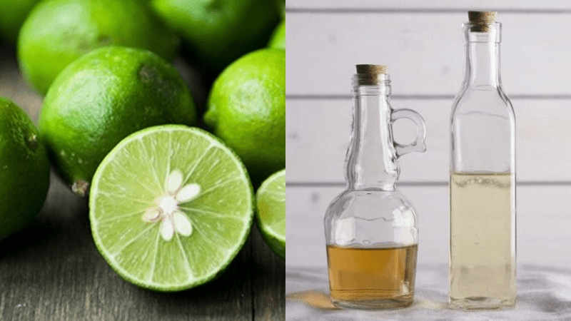 Cách trị mọt gỗ tại nhà