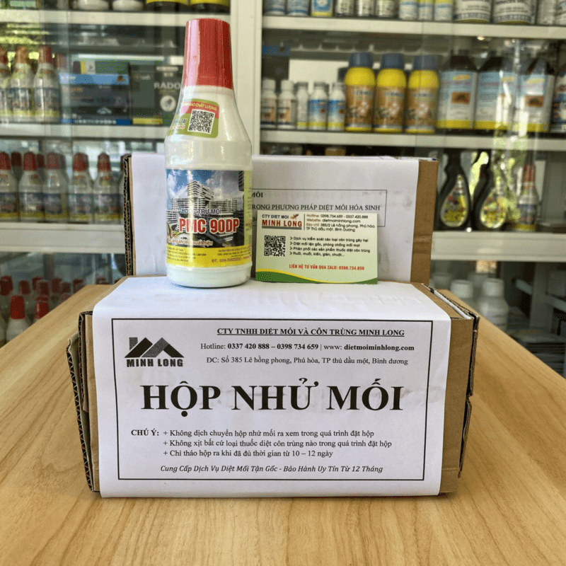 Cách trị mọt gỗ tại nhà