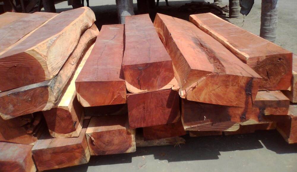 Gỗ Gụ Và Gỗ Hương Gỗ Nào Đắt Hơn