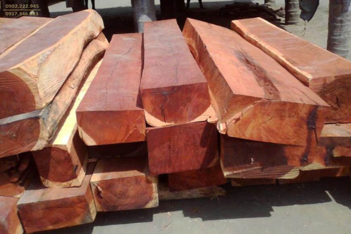 gỗ gụ và gỗ hương gỗ nào đắt hơn